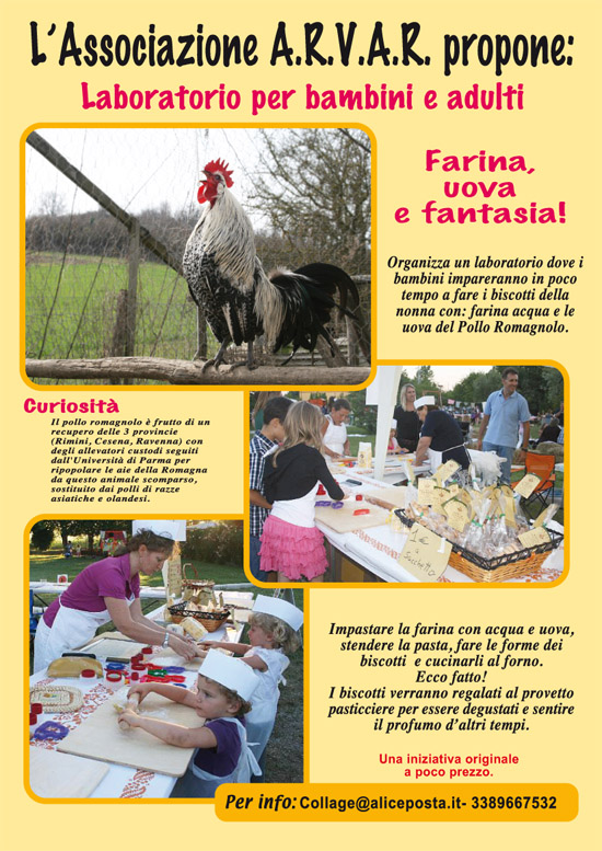 Polo romagnolo, Feste paesane, Sagre in Romagna